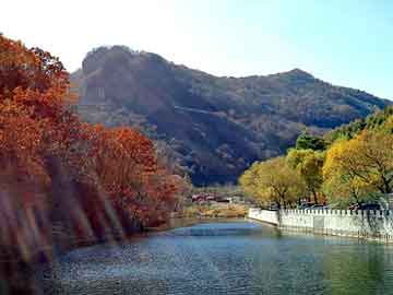 青苹果日韩在线，虎鞭价格